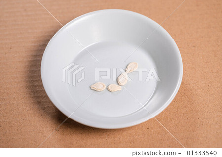 冬瓜子 101333540