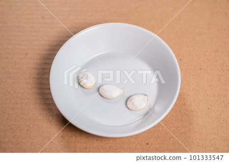 白南瓜子 白南瓜子 101333547