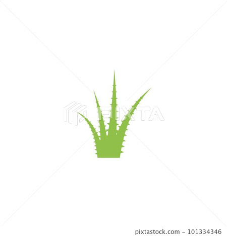 Aloe vera 101334346