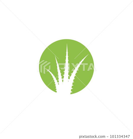 Aloe vera Aloe vera 101334347