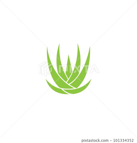 Aloe vera 101334352