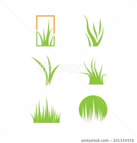 grass grass 101334358