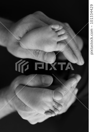 Black and white shade beautiful shape hands of mother, hold tiny newborn baby feet on black background with love, care, family safety and protection, child with premature birth concept or NICU care 101334429