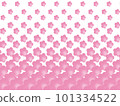 Background where cherry blossoms gather and become big cherry blossoms and scatter 101334522