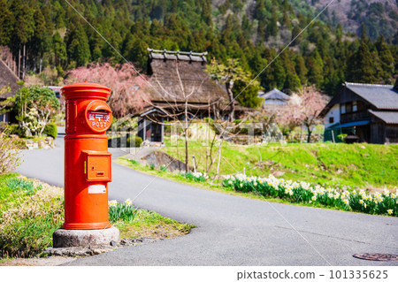 Original scenery of Japan Kyoto Miyama Spring view of thatched village 101335625