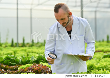 Caucasian male scientist with magnifying glass observing organic vegetable in industrial hydroponic greenhouse 101335760