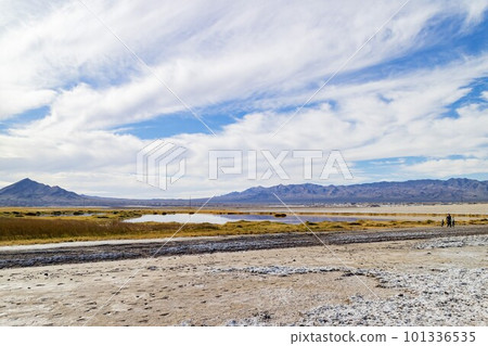 Sunny view of the landscape of Grimshaw Lake at Tecopa 101336535