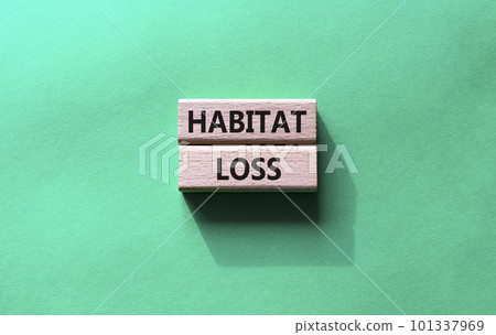 Habitat loss symbol. Wooden blocks with words Habitat loss. Beautiful green background. Business and Habitat loss concept. Copy space. 101337969