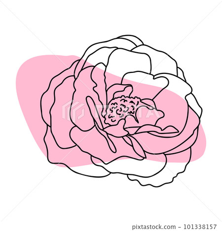 Rose hand drawn illustration in vecor. Sketches, line art. 101338157
