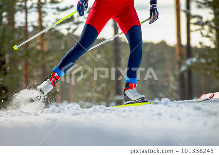 legs skier athlete riding on ski track legs skier athlete riding on ski track 101338245