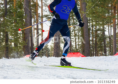 male athlete skier running cross country skiing, winter sports competition 101338249