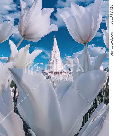 lilac flowers in front of Catholic Church 101338426