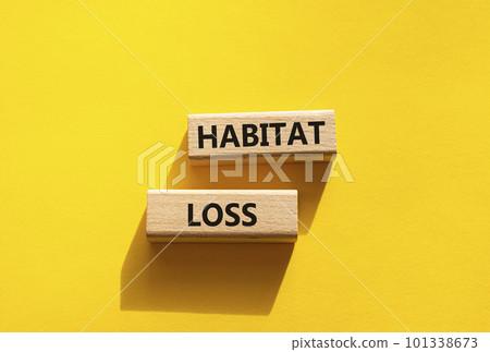 Habitat loss symbol. Wooden blocks with words Habitat loss. Beautiful yellow background. Business and Habitat loss concept. Copy space. 101338673