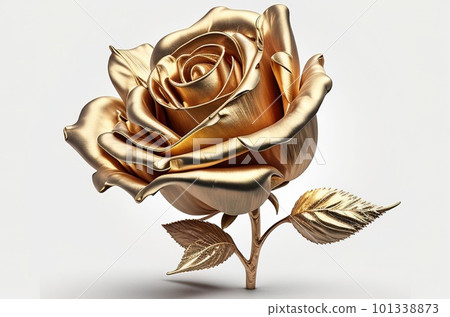 Beautiful gold rose isolated for your birthday. Flower rose, white background. Beautiful gold rose isolated for your birthday. Flower rose, white background. 101338873