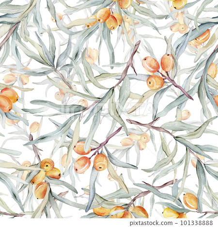 Pattern with orange sea buckthorn. Sea buckthorn for healthy life and design background. Hand painted. Botanical natural. Seamless pattern, an illustration for postcards, posters, textile design. 101338888