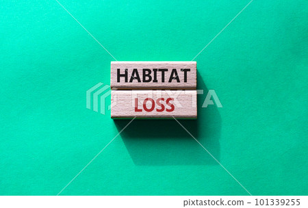 Habitat loss symbol. Wooden blocks with words Habitat loss. Beautiful green background. Business and Habitat loss concept. Copy space. Habitat loss symbol. Wooden blocks with words Habitat loss. Beautiful green background. Business and Habitat loss concept. Copy space. 101339255