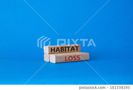 Habitat loss symbol. Wooden blocks with words Habitat loss. Beautiful blue background. Business and Habitat loss concept. Copy space. Habitat loss symbol. Wooden blocks with words Habitat loss. Beautiful blue background. Business and Habitat loss concept. Copy space. 101339293