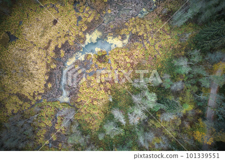 Above aerial shot of green pine forests and yellow foliage groves with beautiful texture of golden treetops. Beautiful fall season scenery in evening. Mountains in autumn in golden time Above aerial shot of green pine forests and yellow foliage groves with beautiful texture of golden treetops. Beautiful fall season scenery in evening. Mountains in autumn in golden time 101339551