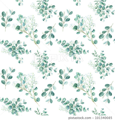 Seamless watercolor pattern with eucalyptus and gypsophila branches on white background. Can be used for wedding prints, gift wrapping paper, kitchen textile and fabric prints. 101340085