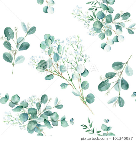 Seamless watercolor pattern with eucalyptus and gypsophila branches on white background. Can be used for wedding prints, gift wrapping paper, kitchen textile and fabric prints. 101340087