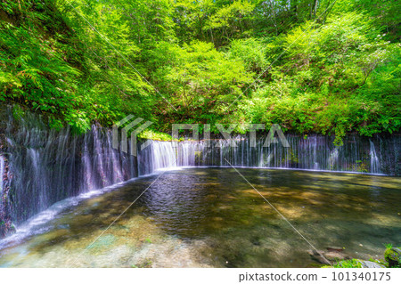 [Waterfall material] Karuizawa Shiraito Falls [Nagano] 101340175