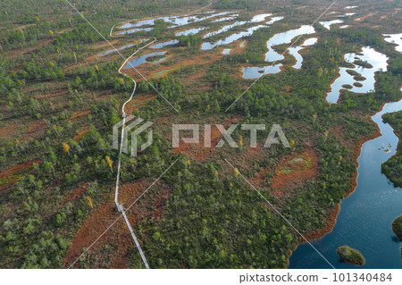 A drone photo of expansive summer swamps with winding streams, tall reeds and grasses, and green and brown wetlands. Capturing the nature scenery of this remote and unspoiled wilderness A drone photo of expansive summer swamps with winding streams, tall reeds and grasses, and green and brown wetlands. Capturing the nature scenery of this remote and unspoiled wilderness 101340484