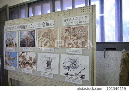 Itaseki Toba, Tokoji Temple, Kitamoto City, Saitama Prefecture, Ishito Kamazakura Itaseki Toba, Tokoji Temple, Kitamoto City, Saitama Prefecture, Ishito Kamazakura 101340559