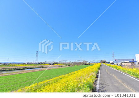 埼玉縣川島町春季從小志部川眺望 埼玉縣川島町春季從小志部川眺望 101341331