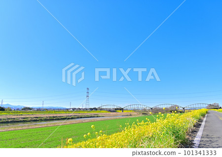 Kawashima Town, Saitama Prefecture View from the Koshibe River in spring Kawashima Town, Saitama Prefecture View from the Koshibe River in spring 101341333