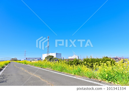 埼玉縣川島町春季從小志部川眺望 埼玉縣川島町春季從小志部川眺望 101341334