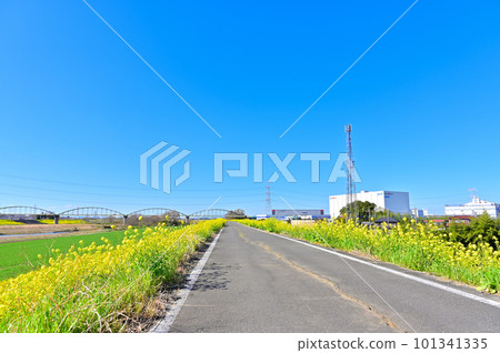 埼玉縣川島町春季從小志部川眺望 埼玉縣川島町春季從小志部川眺望 101341335