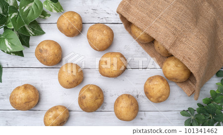 fresh potatoes, new potatoes 101341462
