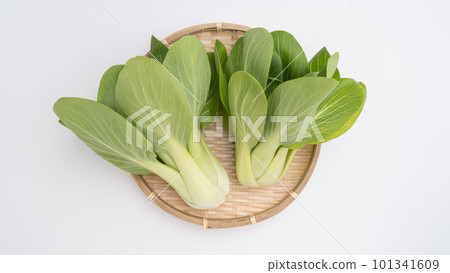 Bok-choy 101341609