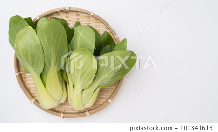 白菜 白菜 101341613