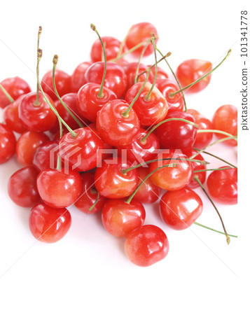 白色背景中的許多櫻桃,櫻桃,佐藤錦,山形縣的櫻桃 白色背景中的許多櫻桃,櫻桃,佐藤錦,山形縣的櫻桃 101341778