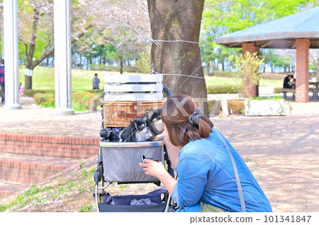 A female owner walking her dog at Fukaya Green Park 101341847