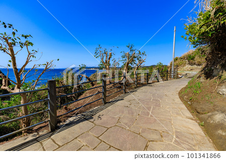 Hachiman Misaki Park, Katsuura City, Chiba Prefecture, promenade with a view of the sea Hachiman Misaki Park, Katsuura City, Chiba Prefecture, promenade with a view of the sea 101341866