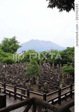 Scenery of Nanshu Cemetery in Kagoshima Scenery of Nanshu Cemetery in Kagoshima 101342283