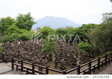 Views of the peaceful Nanshu Cemetery overlooking Sakurajima Views of the peaceful Nanshu Cemetery overlooking Sakurajima 101342284