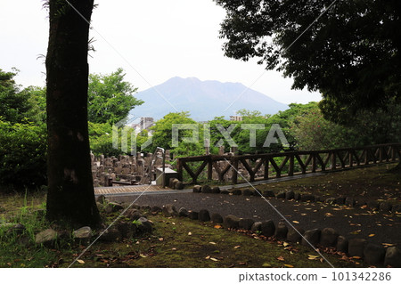 從南須陵園眺望櫻島 101342286