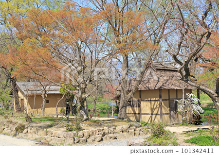 Azumino in spring Watermill at Daio Wasabi Farm 101342411