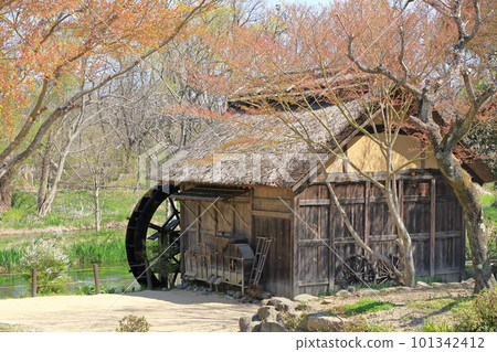 Azumino in spring Watermill at Daio Wasabi Farm Azumino in spring Watermill at Daio Wasabi Farm 101342412