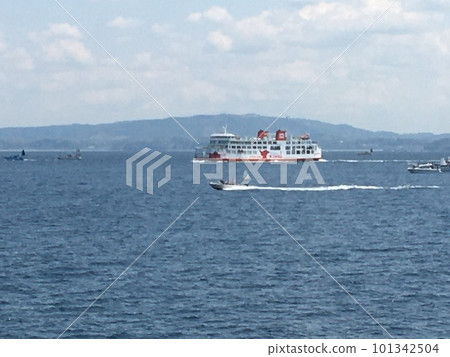 東京灣渡輪白濱丸在晚春的早晨從金谷港前往浦賀海峽前往久里濱港 101342504