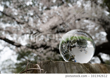 玻璃球和櫻花，環保的形象 101342612