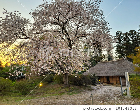 Twilight old folk house 101343015