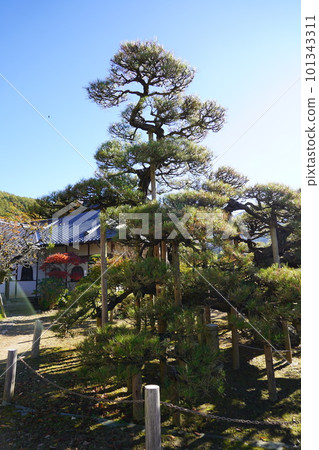 長野縣伊那市高遠城石佛漫步2022（高遠風景）（幾座寺廟）（石佛藝術家Moriya） 101343311