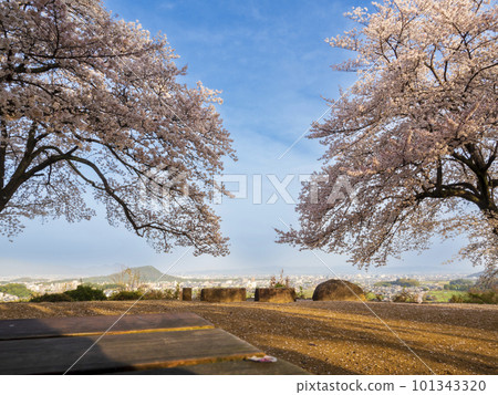 Amakashi Hill Observatory in Spring 101343320