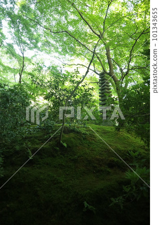 魯里科因 101343655