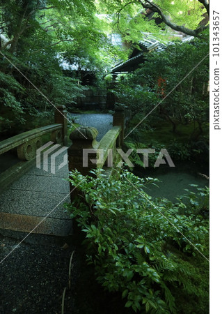 魯里科因 101343657