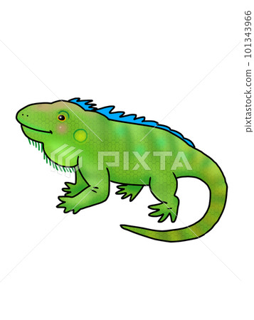 可愛的鬣蜥的插圖 101343966